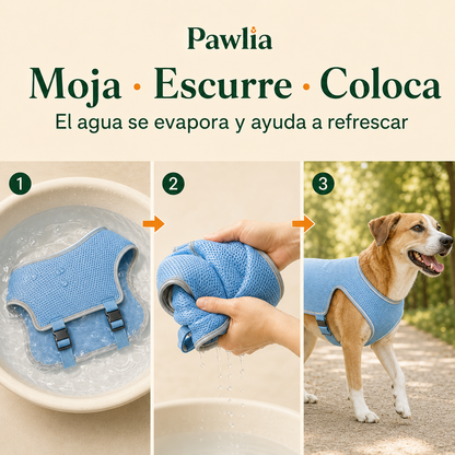 Pawlia CoolVest - Chaleco Refrescante para Perros
