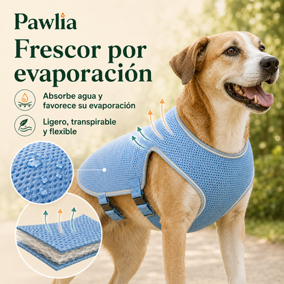 Pawlia CoolVest - Chaleco Refrescante para Perros