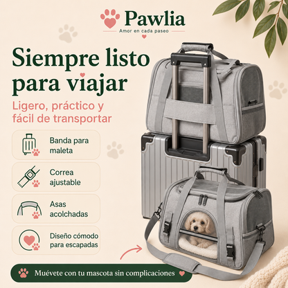 Pawlia SafeCarry - Transportín para Gato o Perro Pequeño