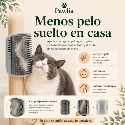 Pawlia ScratchMe - Peine Rascador de Pared para Gatos