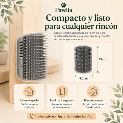 Pawlia ScratchMe - Peine Rascador de Pared para Gatos