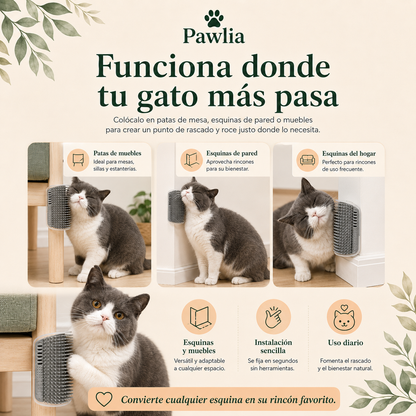 Pawlia ScratchMe - Peine Rascador de Pared para Gatos