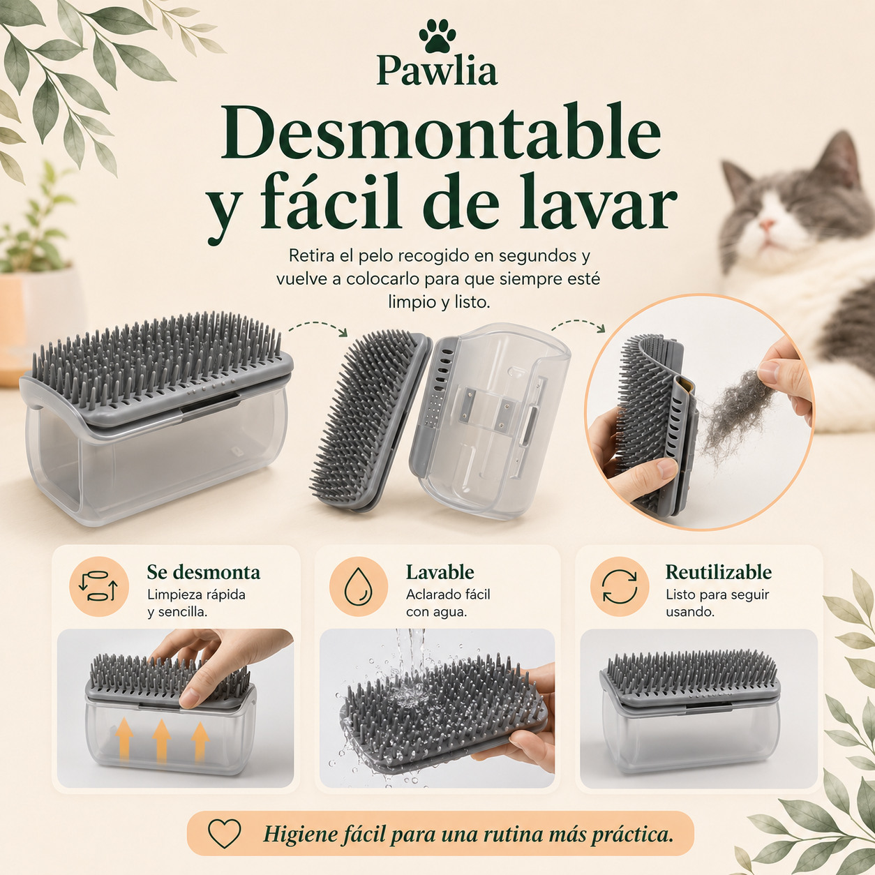 Pawlia ScratchMe - Peine Rascador de Pared para Gatos