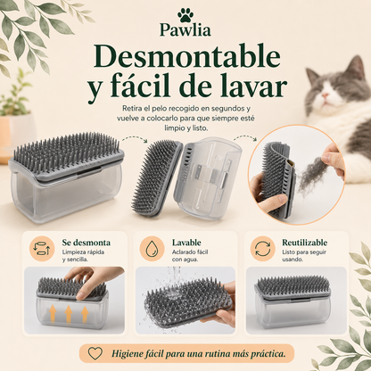 Pawlia ScratchMe - Peine Rascador de Pared para Gatos