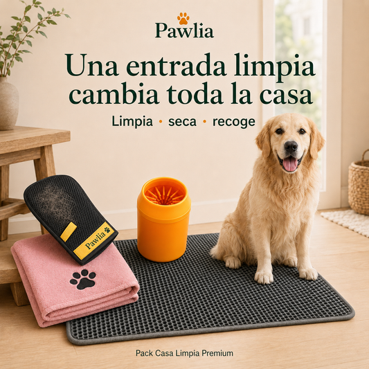 Pack Casa Limpia Premium Pawlia