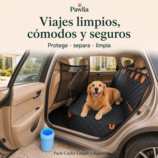 Pack Coche Limpio y Seguro Pawlia