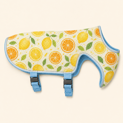 Pawlia CoolVest - Chaleco Refrescante para Perros