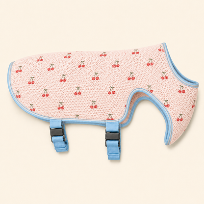 Pawlia CoolVest - Chaleco Refrescante para Perros