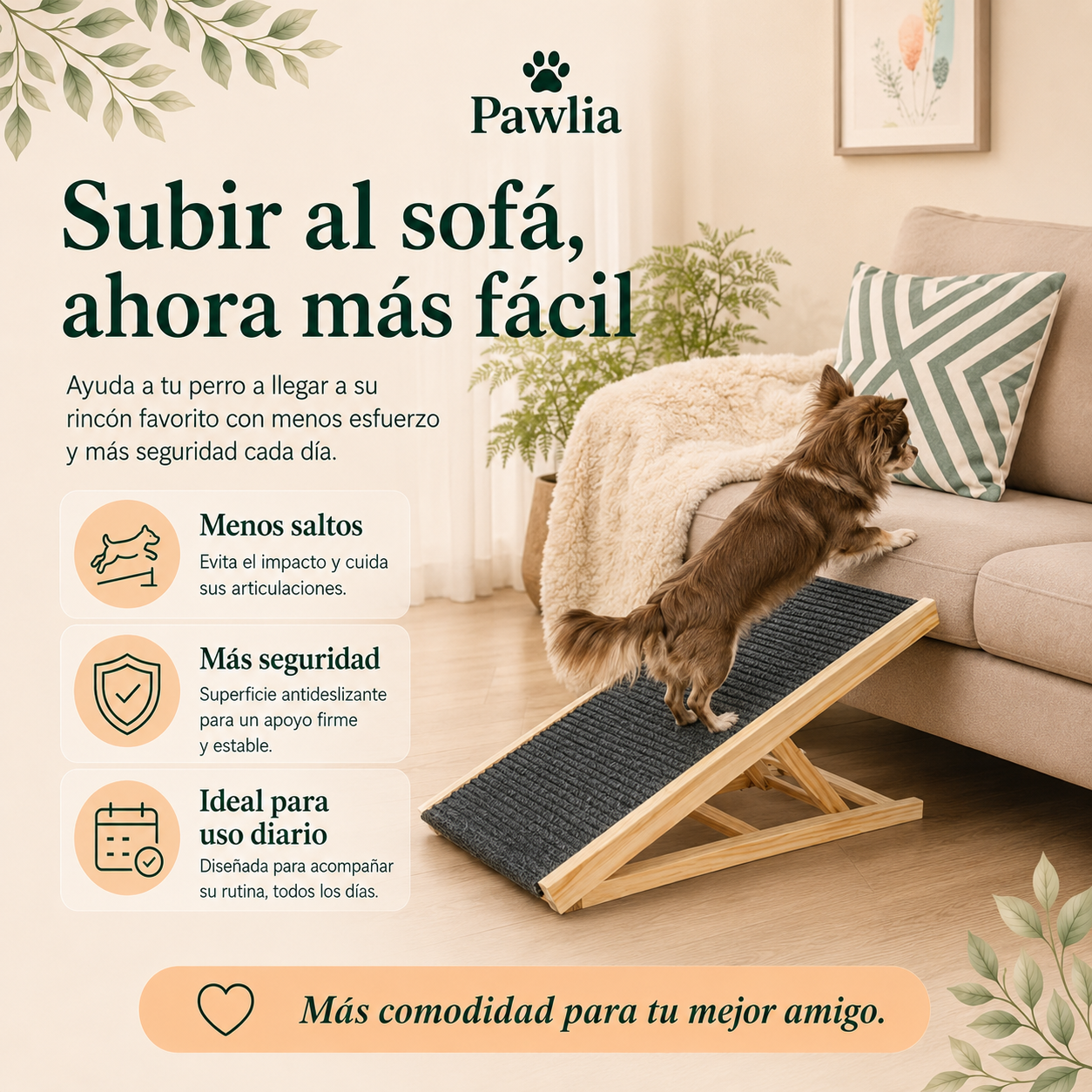 Rampa para Sofá o Coche