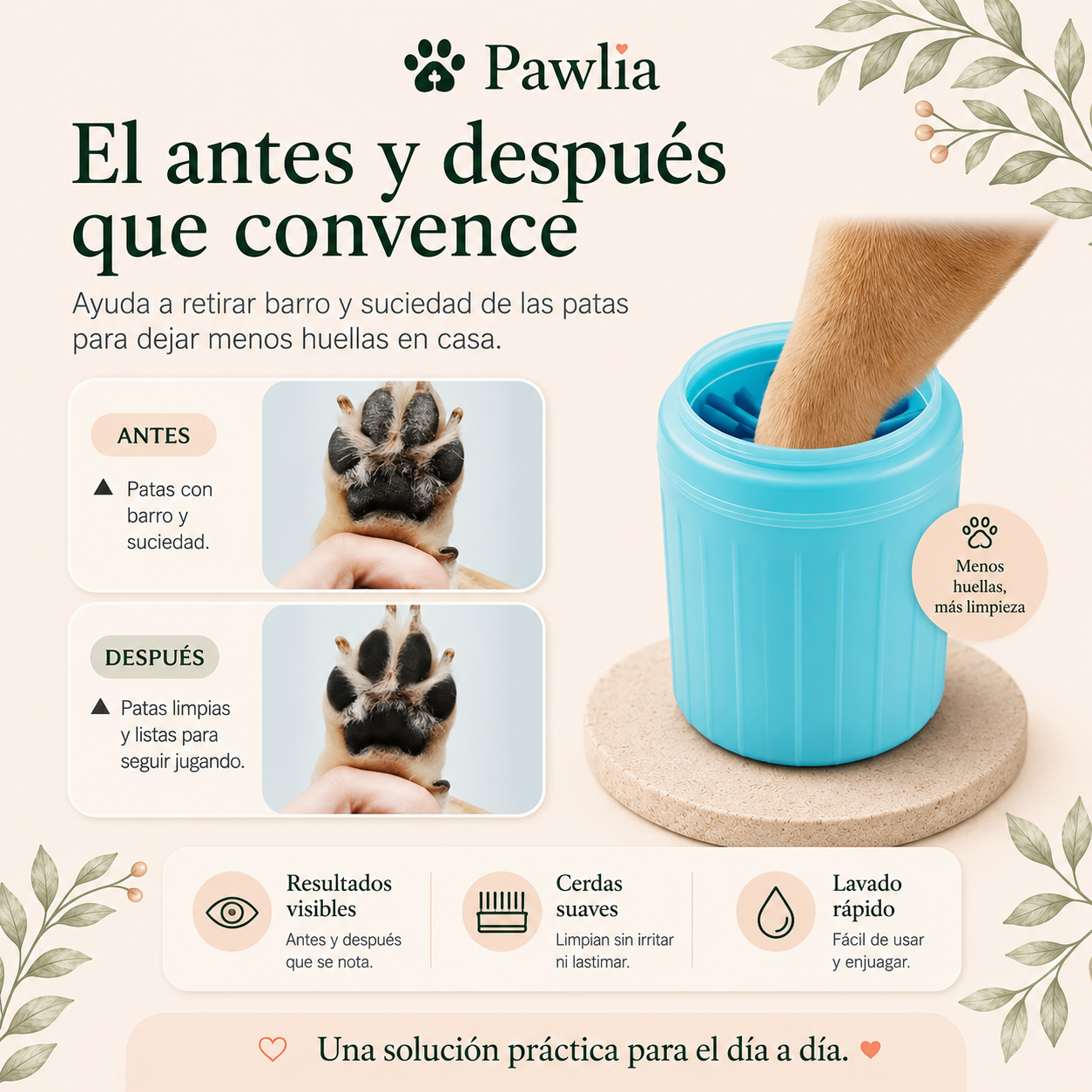 Vaso Limpia Patas