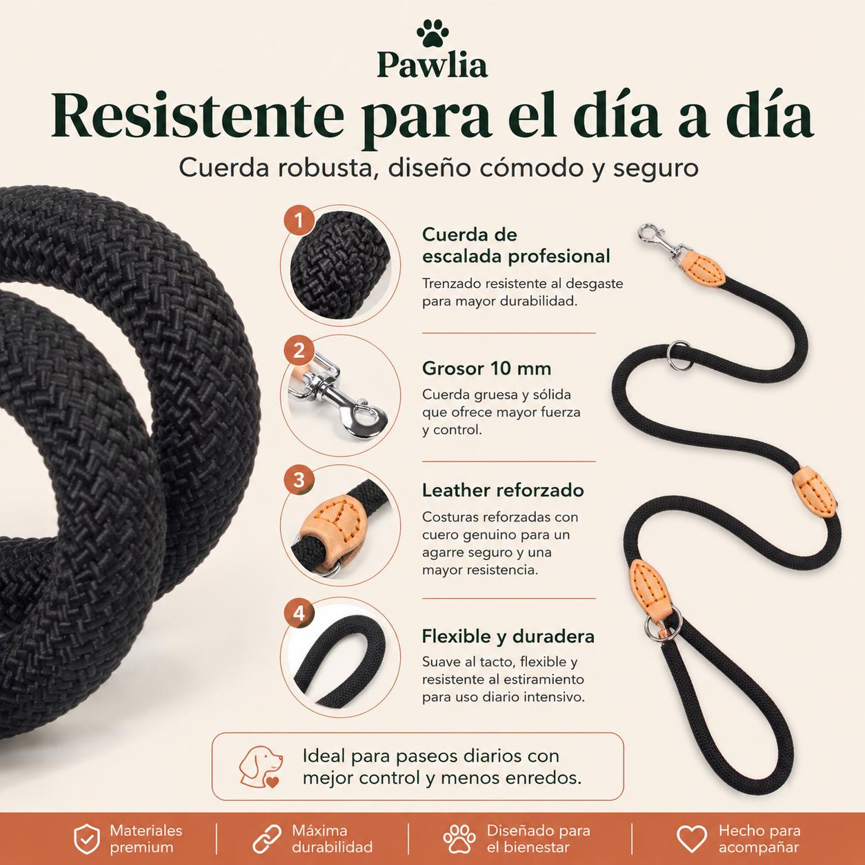 Correa ManosLibres