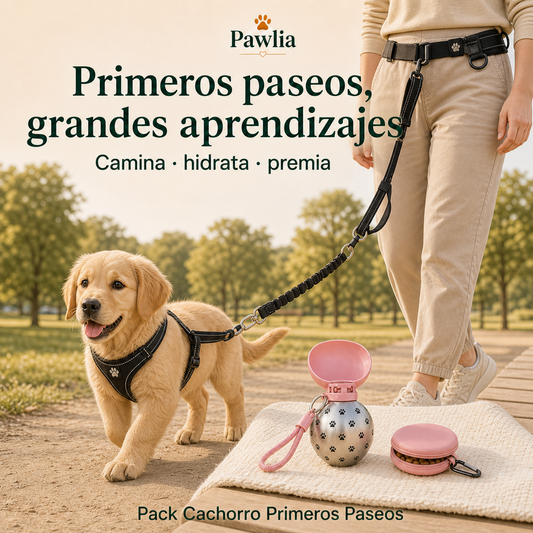 Pack Cachorro Primeros Paseos Pawlia