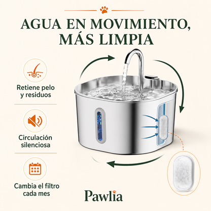 Circulación, filtrado y mantenimiento mensual AquaFlow