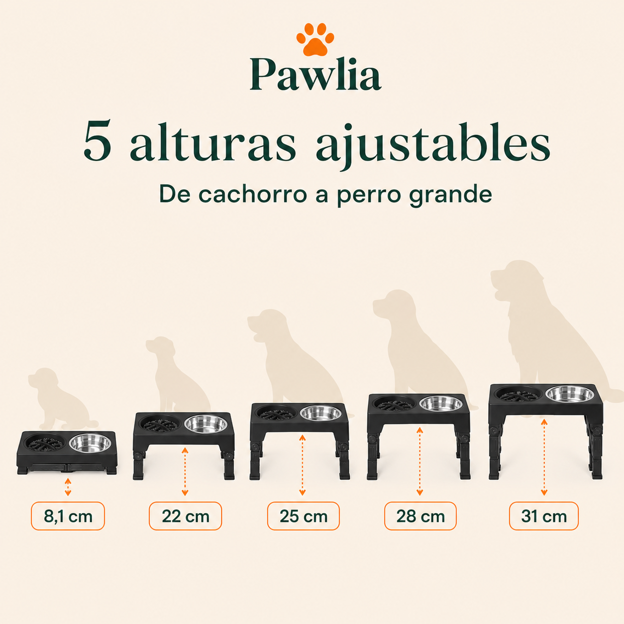 Cinco alturas ajustables de Pawlia ElevEat: 8,1, 22, 25, 28 y 31 cm