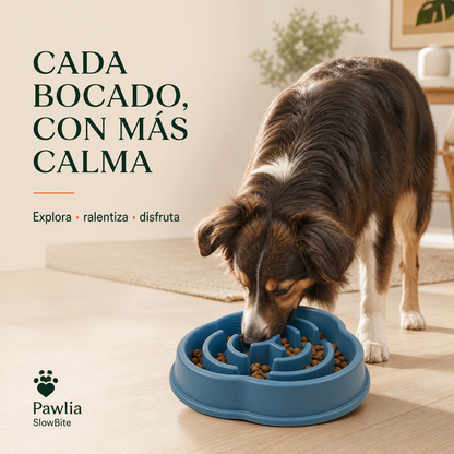 Pawlia SlowBite comedero lento azul con perro